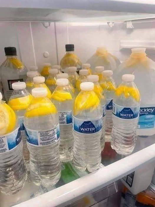 Ginger Water: A Refreshing Drink to Support Wellness and Healthy Habits