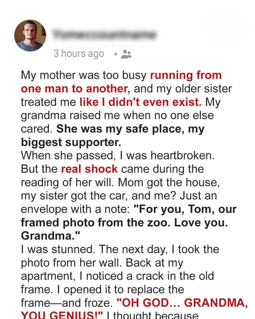 Grandma’s Last Gift: The Photograph That Changed My Life Forever