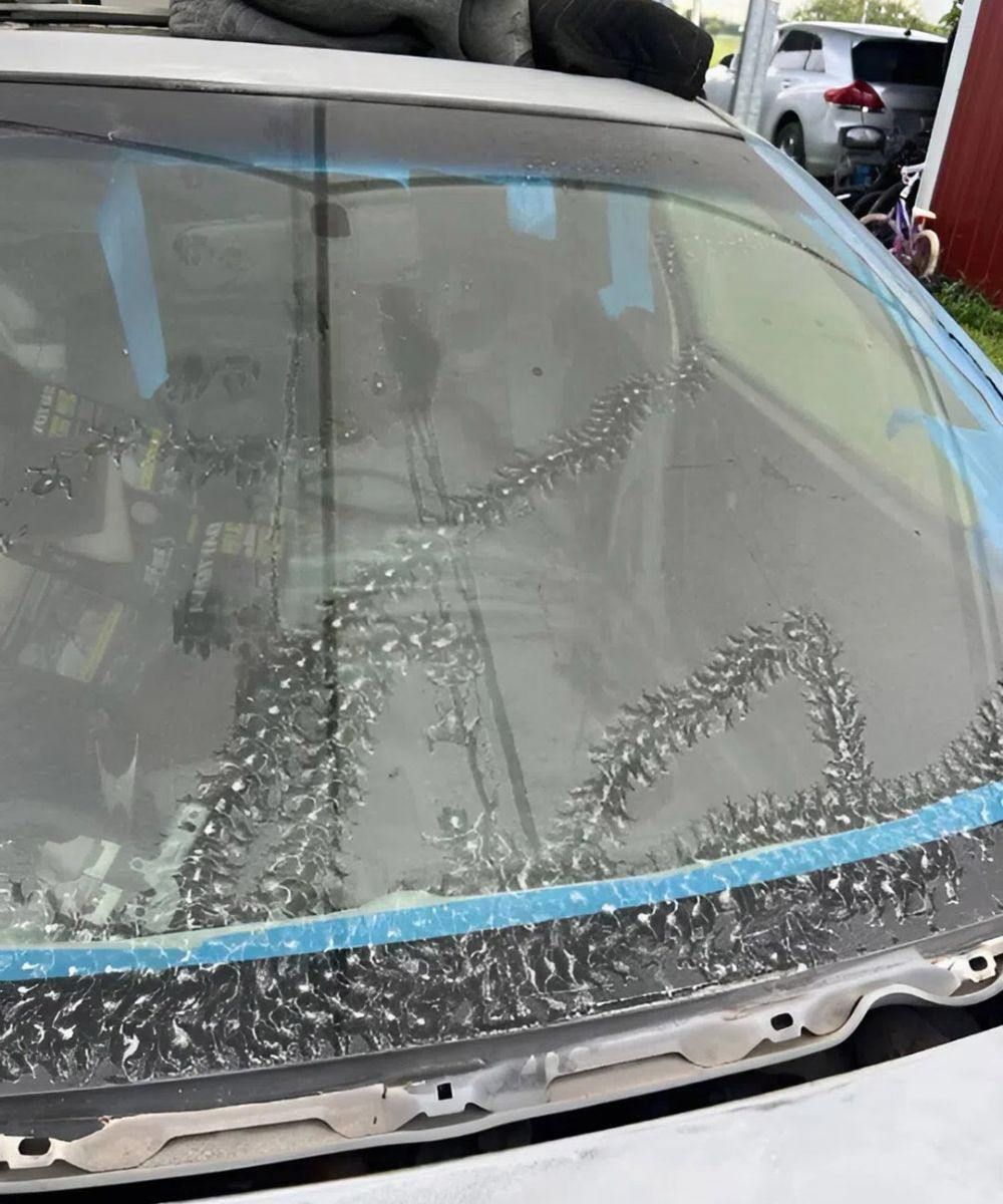 The Strange Marks on My Car Revealed a Small but Unbelievable Secret