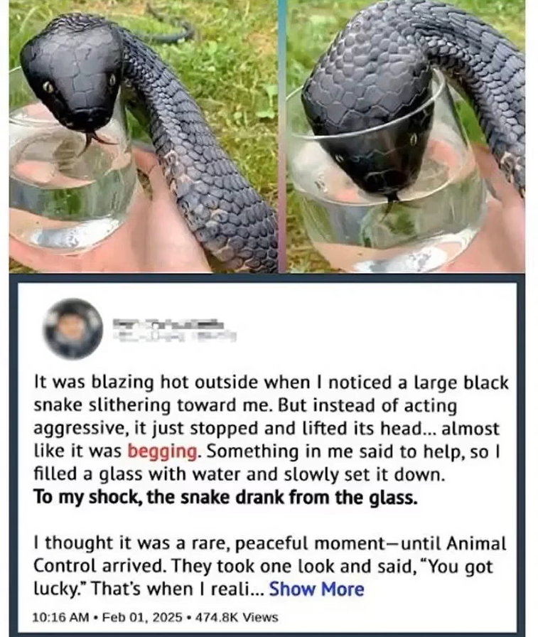 A Mysterious Arrival by the Water’s Edge