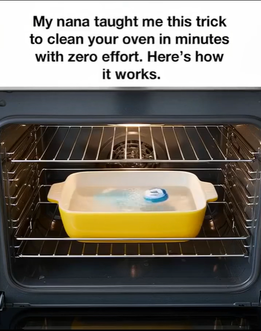 Grandma’s Easy Method for a Sparkling Clean Oven