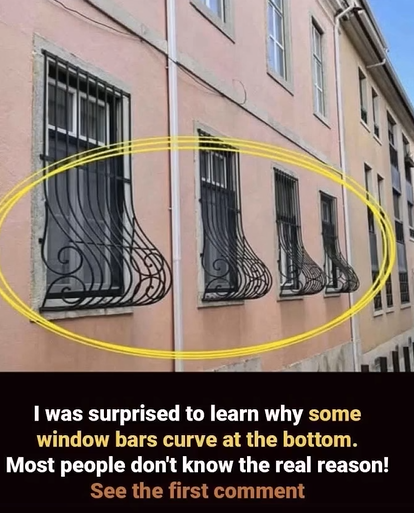 Why Some Window Bars Curve Outward: The Practical Reason Behind the Design