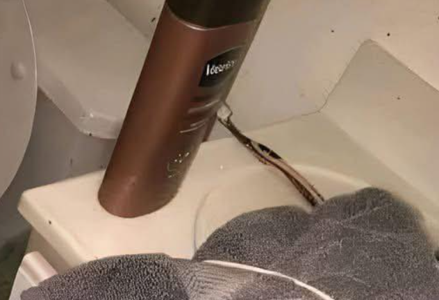 The Surprising Discovery People Are Talking About