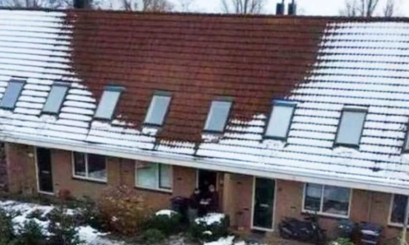 The House Without Snow and the Mystery It Held