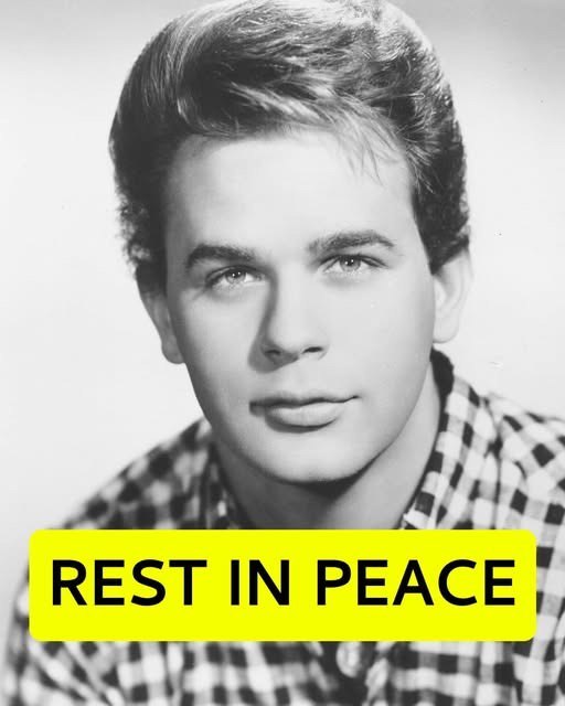 Iconic Teen Star and Music Legend Dies at 82