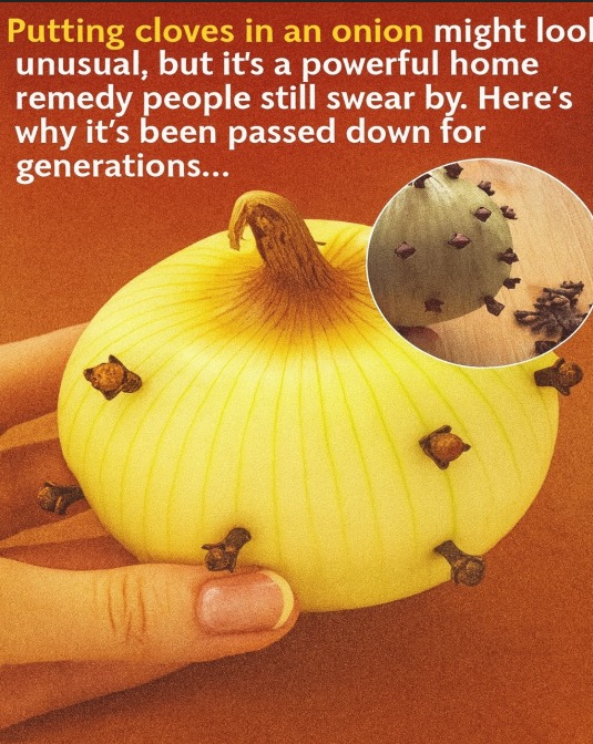 Why Some Families Use Cloves with an Onion: Understanding This Traditional Household Practice