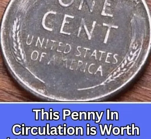 Why a Rare Penny Can Hold Significant Value and How to Identify It