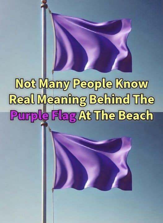 What a Purple Flag at the Beach Usually Indicates