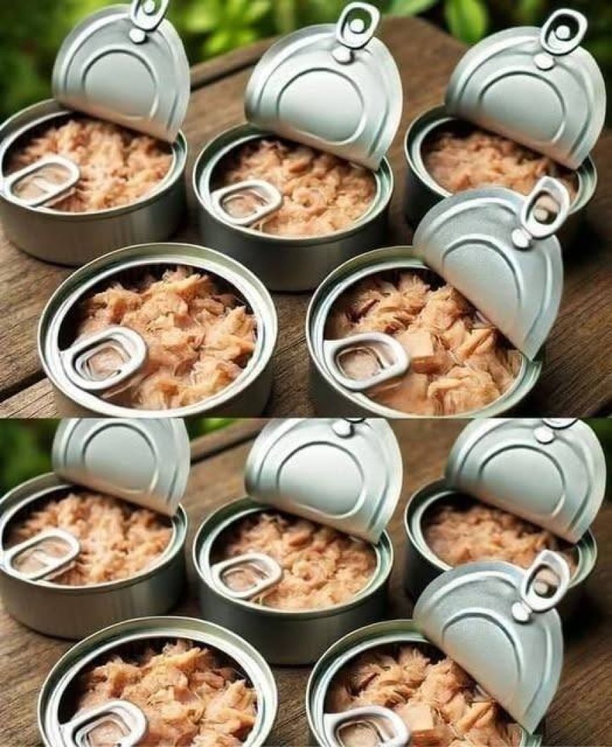 Creative and Practical Ideas for Reusing Empty Tuna Cans at Home