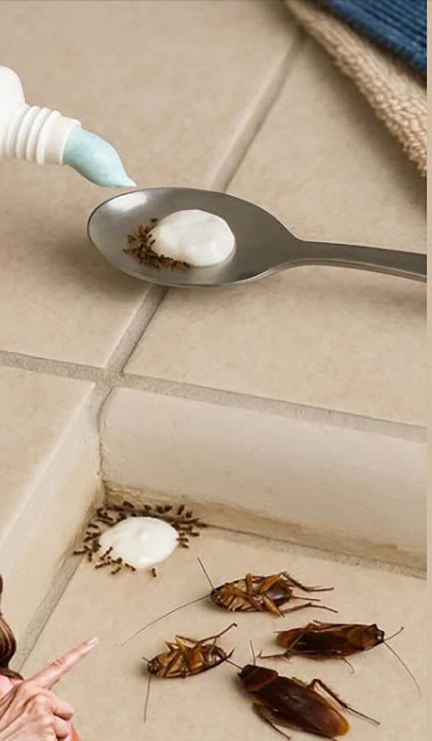 A Simple Household Method That May Help Reduce Insects Indoors
