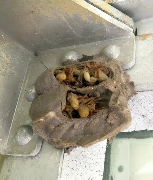 I Went to the Garage to Pick Up an Old Toolbox