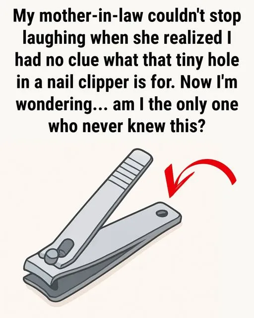 The Surprising Purpose of the Small Hole on Your Nail Clipper Many People Overlook