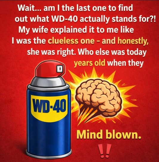 A Practical Everyday Use for WD-40 That Many People Overlook