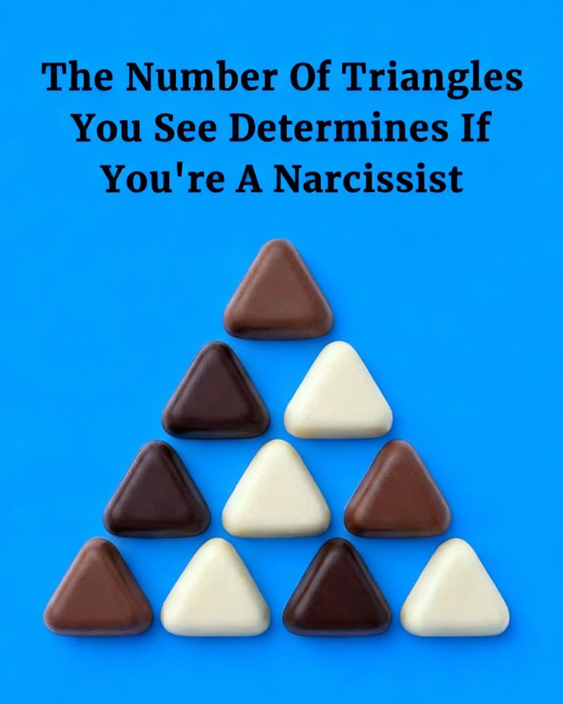 A Simple Visual Puzzle That Reveals How Differently People Interpret the Same Image