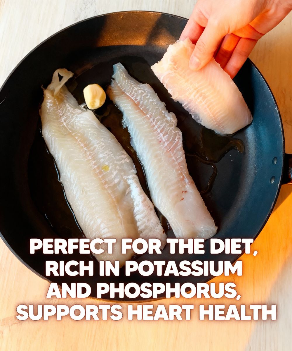 The Ideal Fish for Every Stage of Life: Rich in Nutrients and Health Benefits