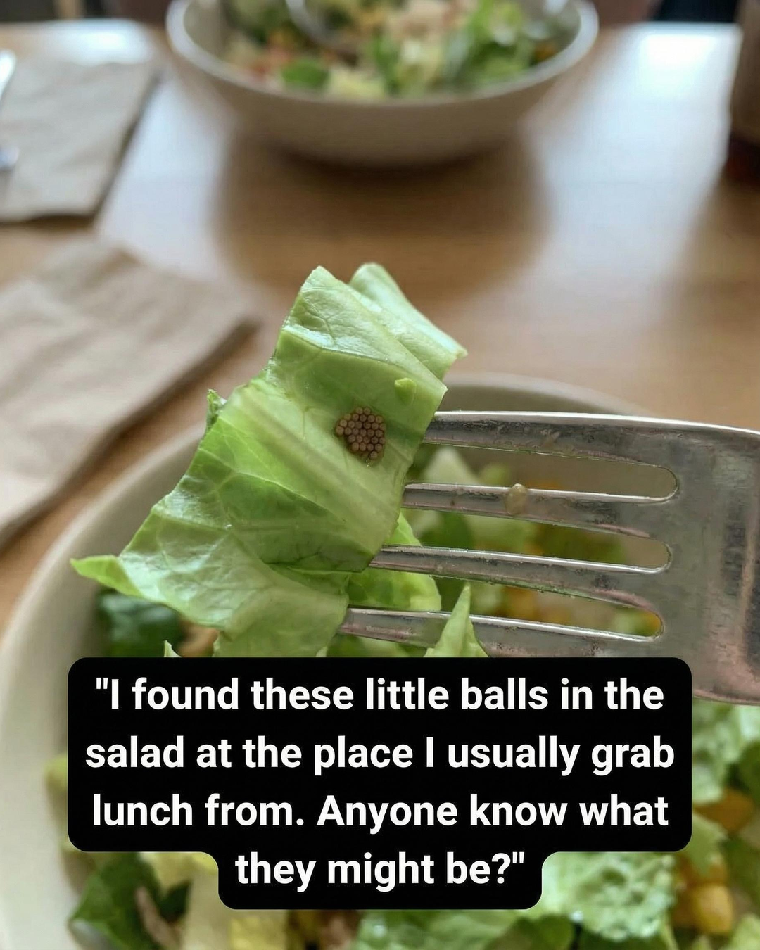 What She Discovered After Confusing an Ingredient With Quinoa