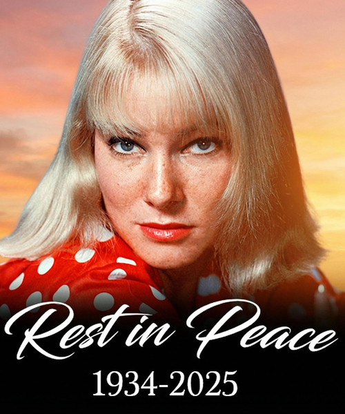 Remembering a Trailblazing Actress Who Left a Lasting Impact on the Industry