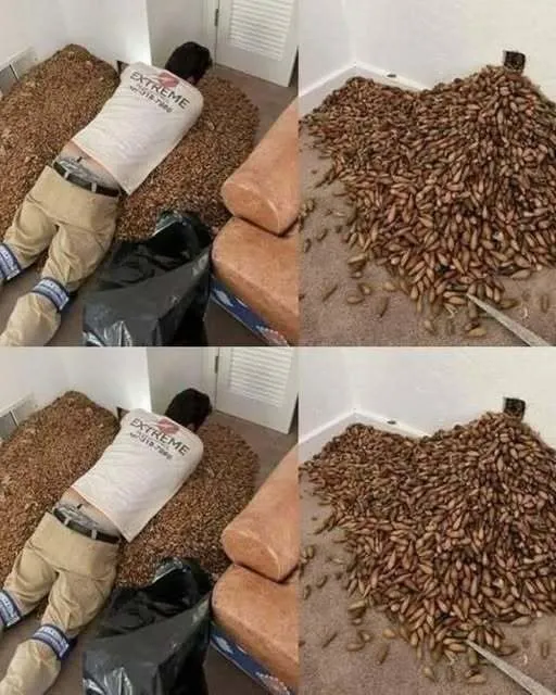 How One Man’s Search for an Unusual Smell Led to an Unexpected Discovery at Home