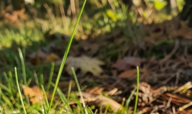 An Unexpected Garden Moment That Offered a Meaningful Lesson