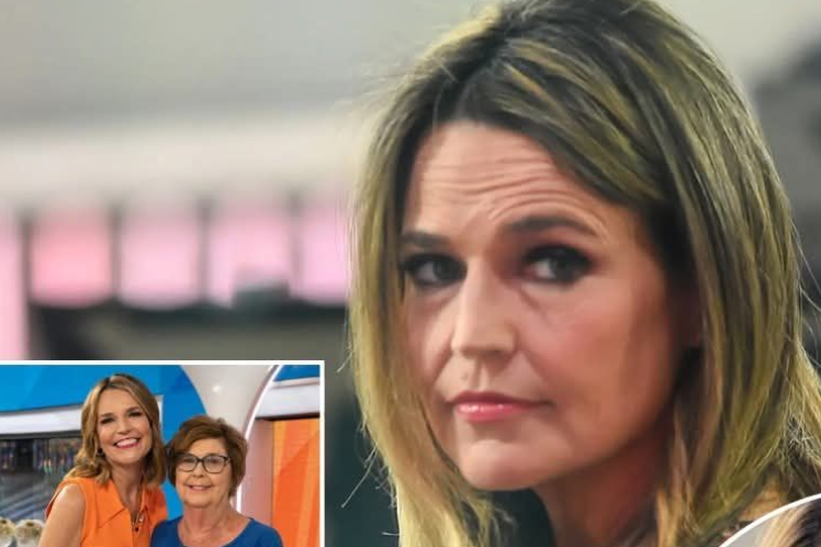 Authorities Release New Information in Widely Followed Missing Person Investigation