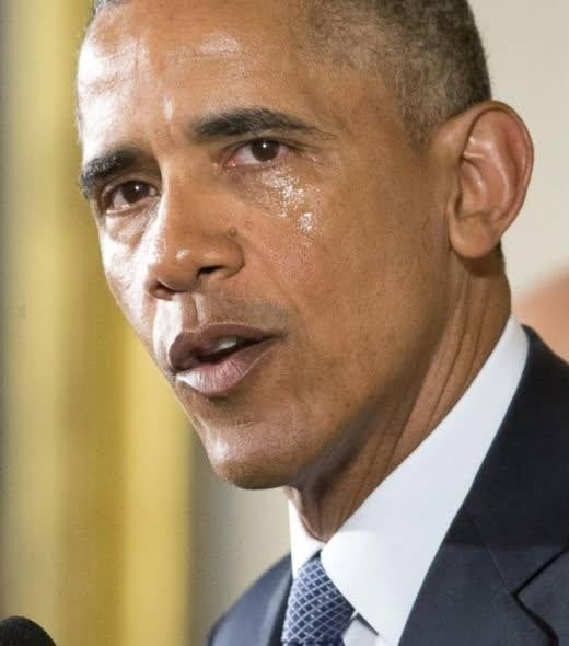 Two Perspectives on Democracy Behind Obama’s Remarks