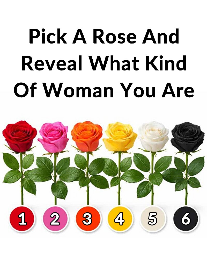 What Your Favorite Rose Color May Reveal About Your Personality