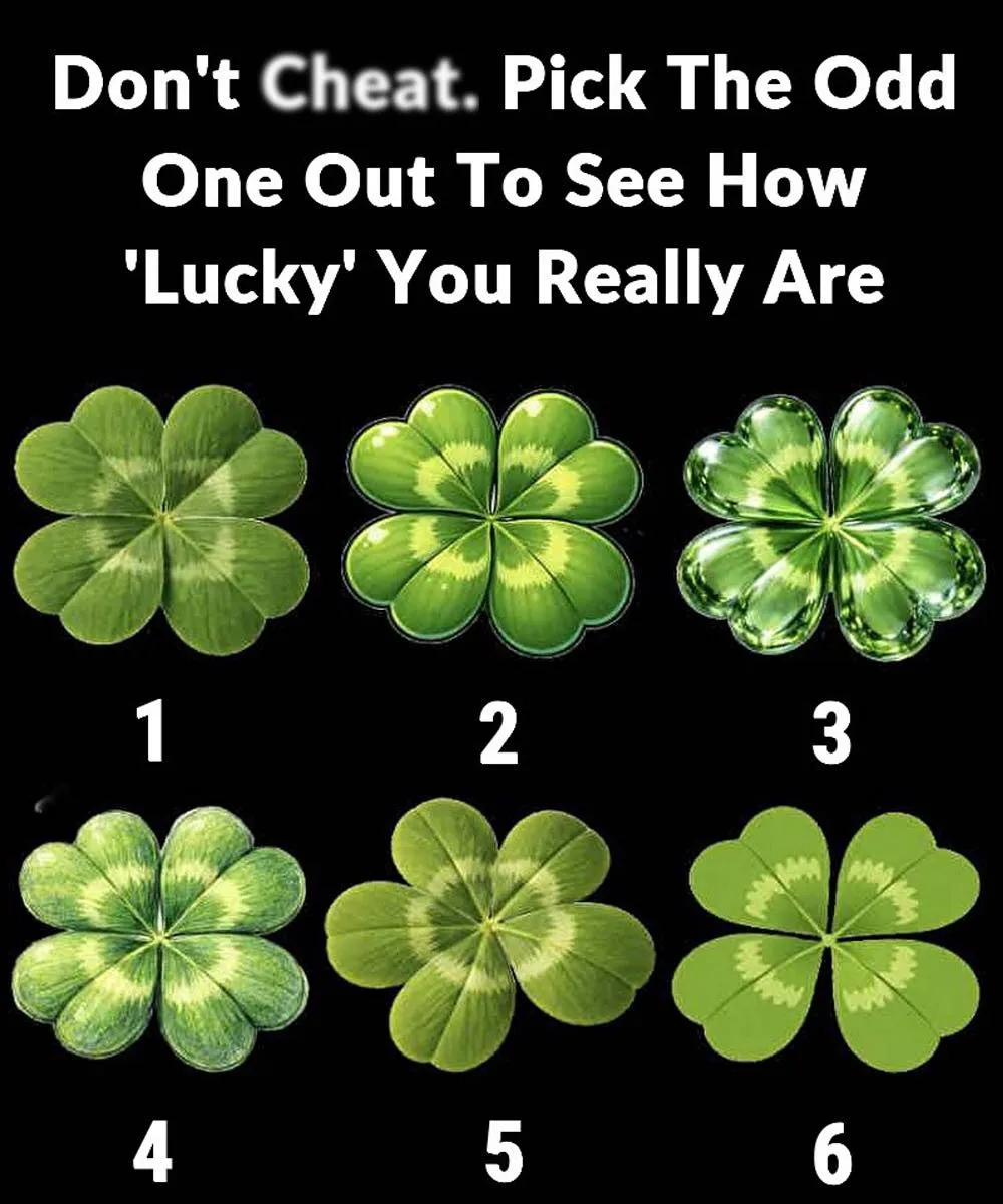 What Your Choice of a Clover May Reveal About Your Personality and Outlook