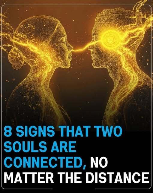 Signs of a Strong Emotional Connection, Even Across Distance and Time