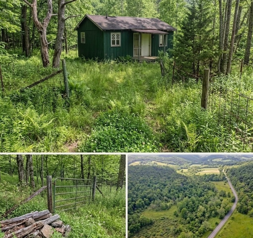 Unique Opportunity: Affordable Land Offering Privacy, Space, and Tranquility