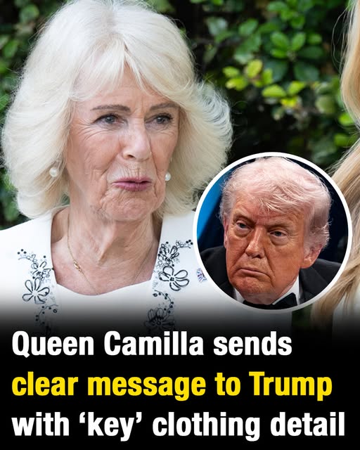 Queen Camilla’s Style Choice Draws Attention During Meeting with Donald Trump
