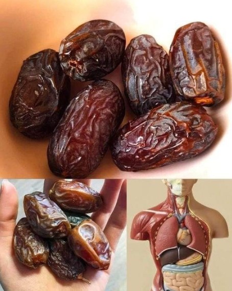How to Use Dates in Your Everyday Diet