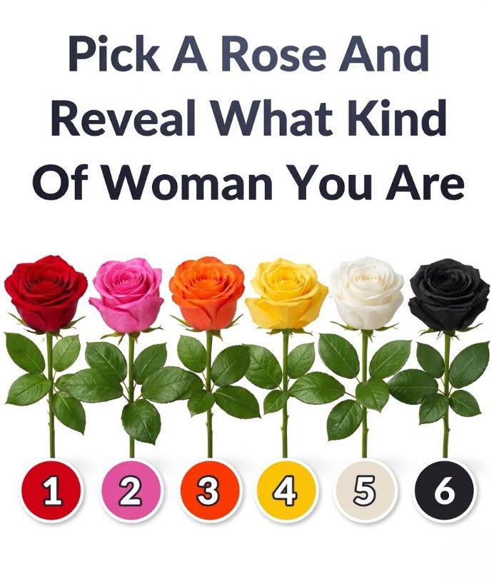 What Your Preferred Rose Color May Reflect About Your Personality Traits