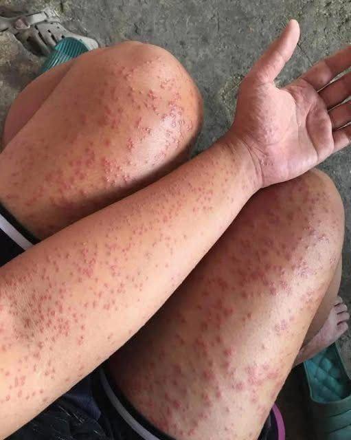 Why Emotional Connection Matters in Building Meaningful Relationships