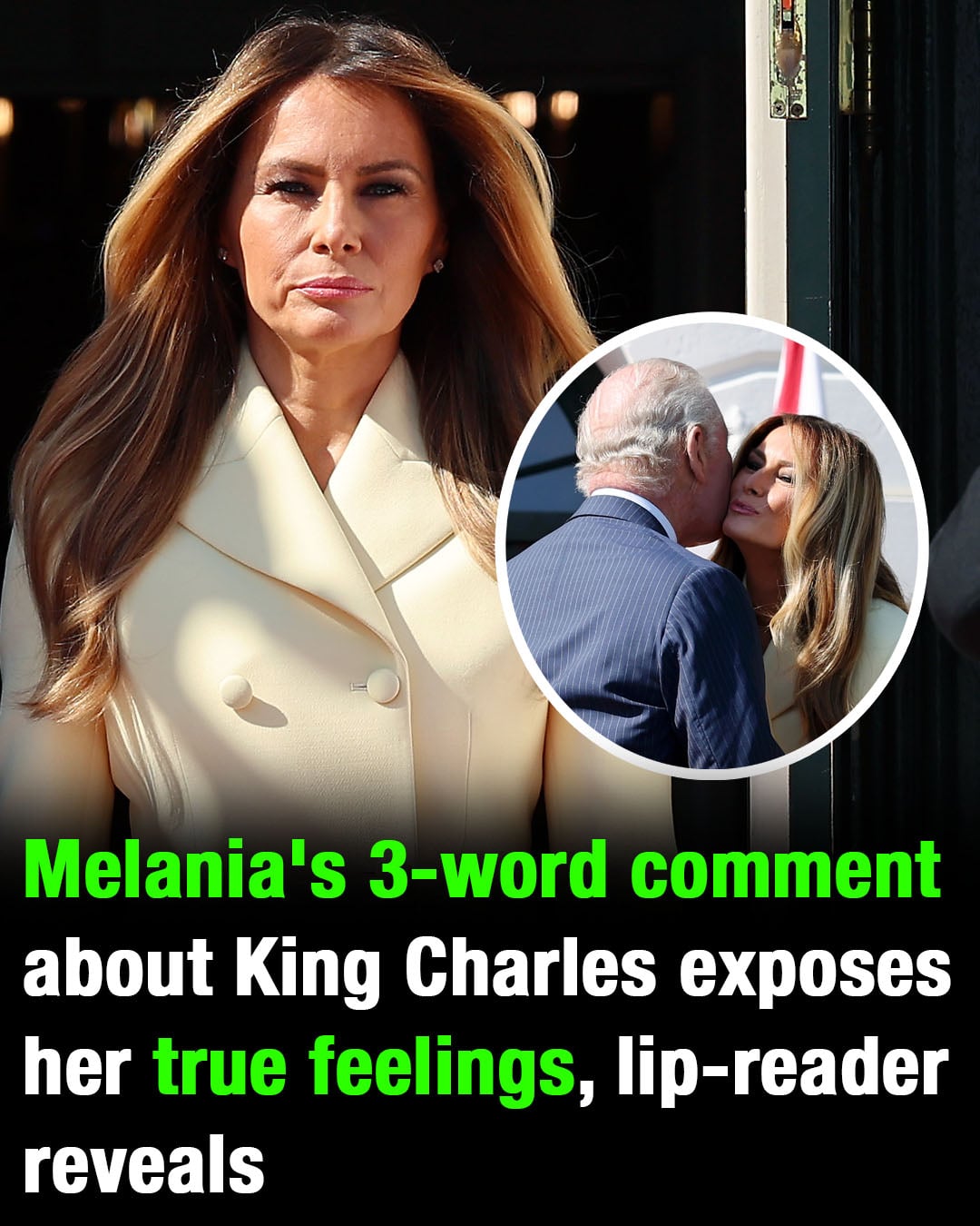 Analysis of a Public Interaction Between Melania Trump and King Charles III