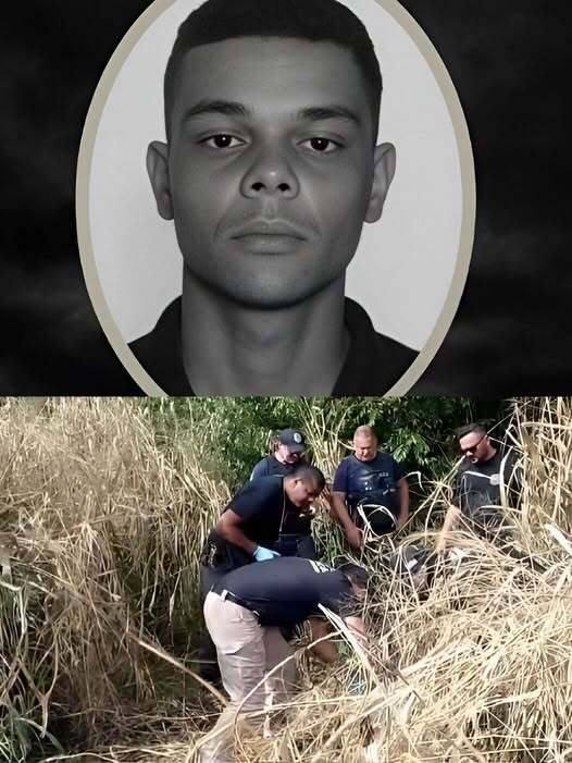 A Long Search Ends in an Unexpected Reunion After Nearly Three Years