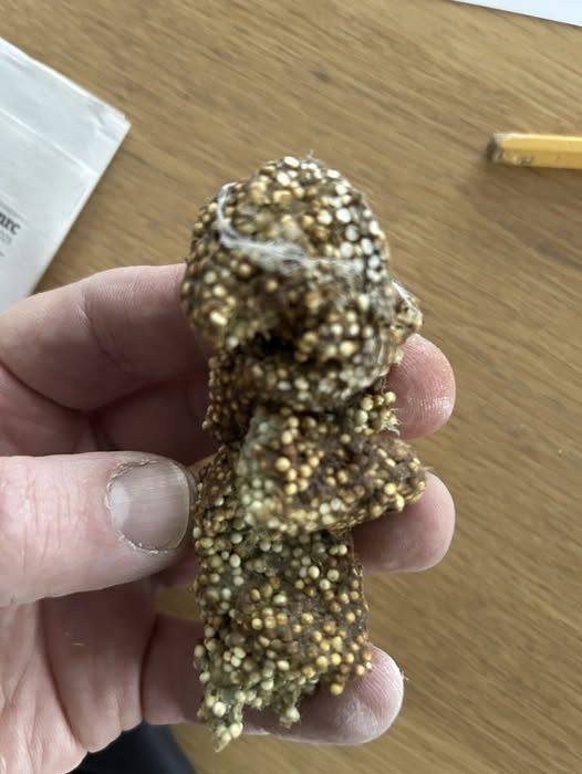 Sticky Substance Found Under a Shelf at Home Raises Questions About What It Could Be