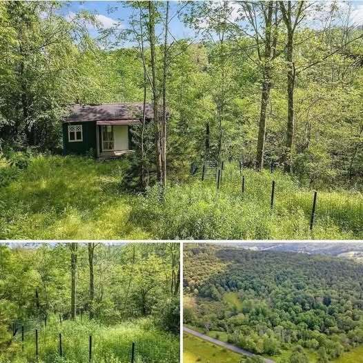 Recently Reduced to $19,000—Private Rural Land with Peaceful Surroundings