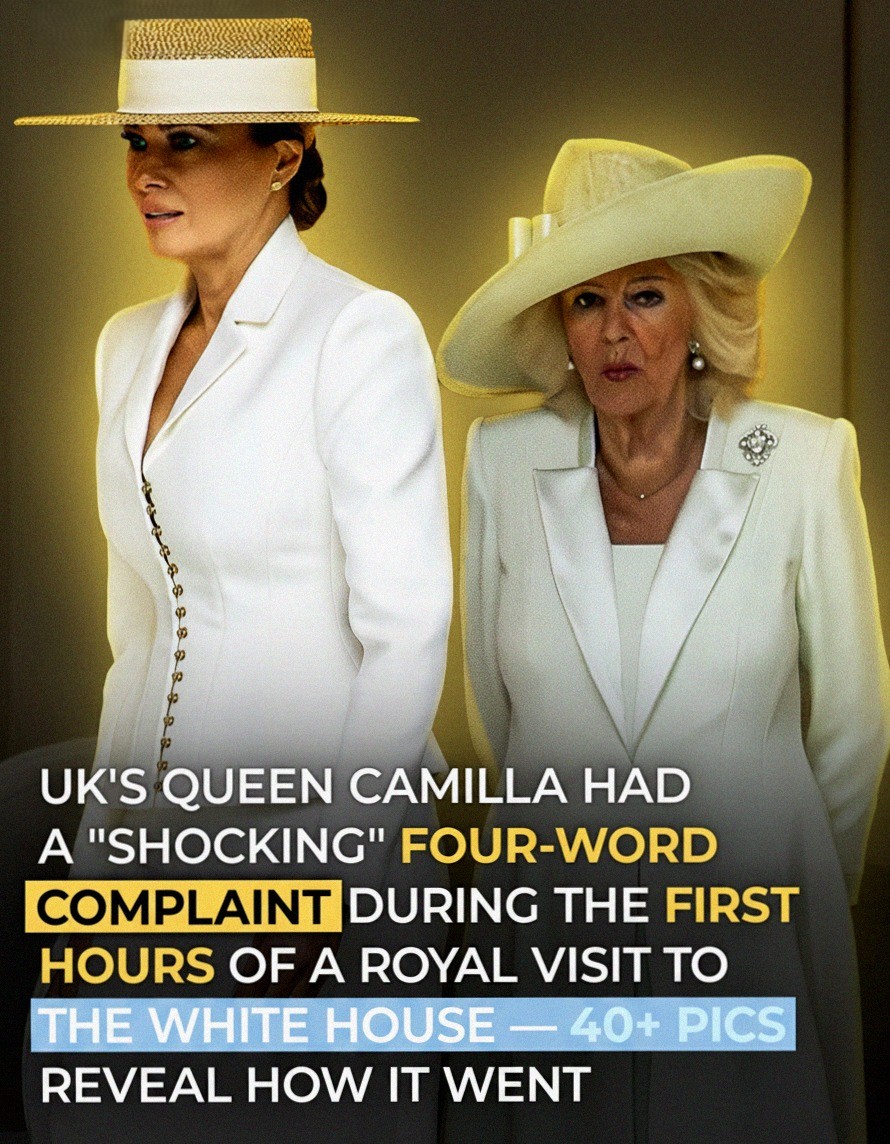 A Night of Diplomacy and Subtle Moments During a High-Profile State Visit