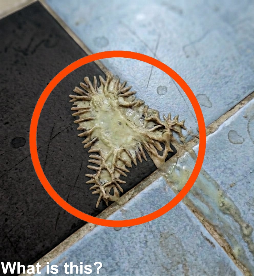 Unusual Item Discovered in Bathroom Leaves Us Searching for Answers