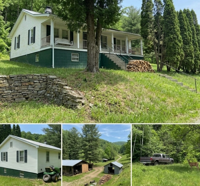 Peaceful Country Living Opportunity: 2-Bedroom Cottage on 35 Acres in Duffield, Virginia