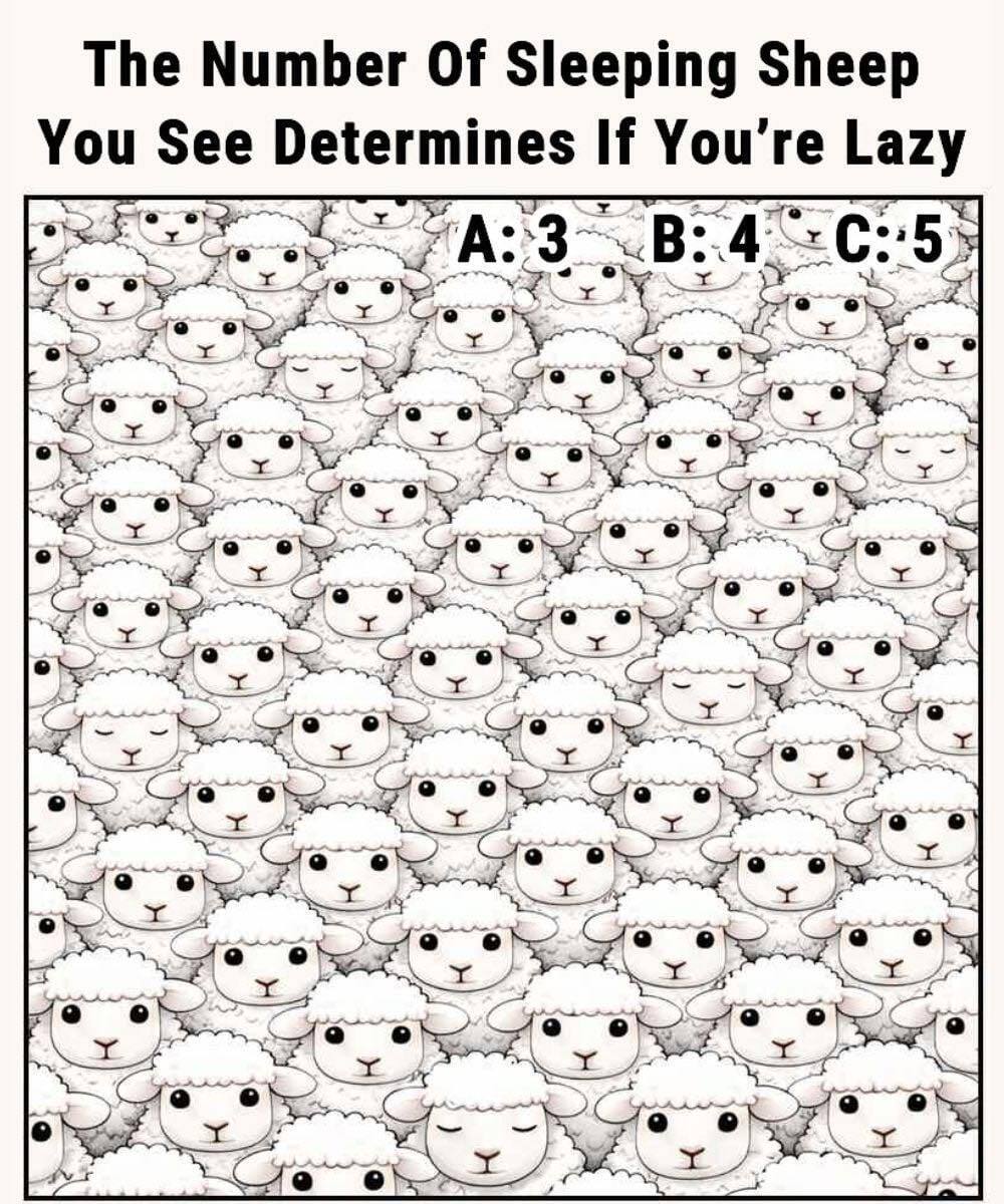 This Sheep Puzzle Will Put Your Focus and Observation Skills to the Test