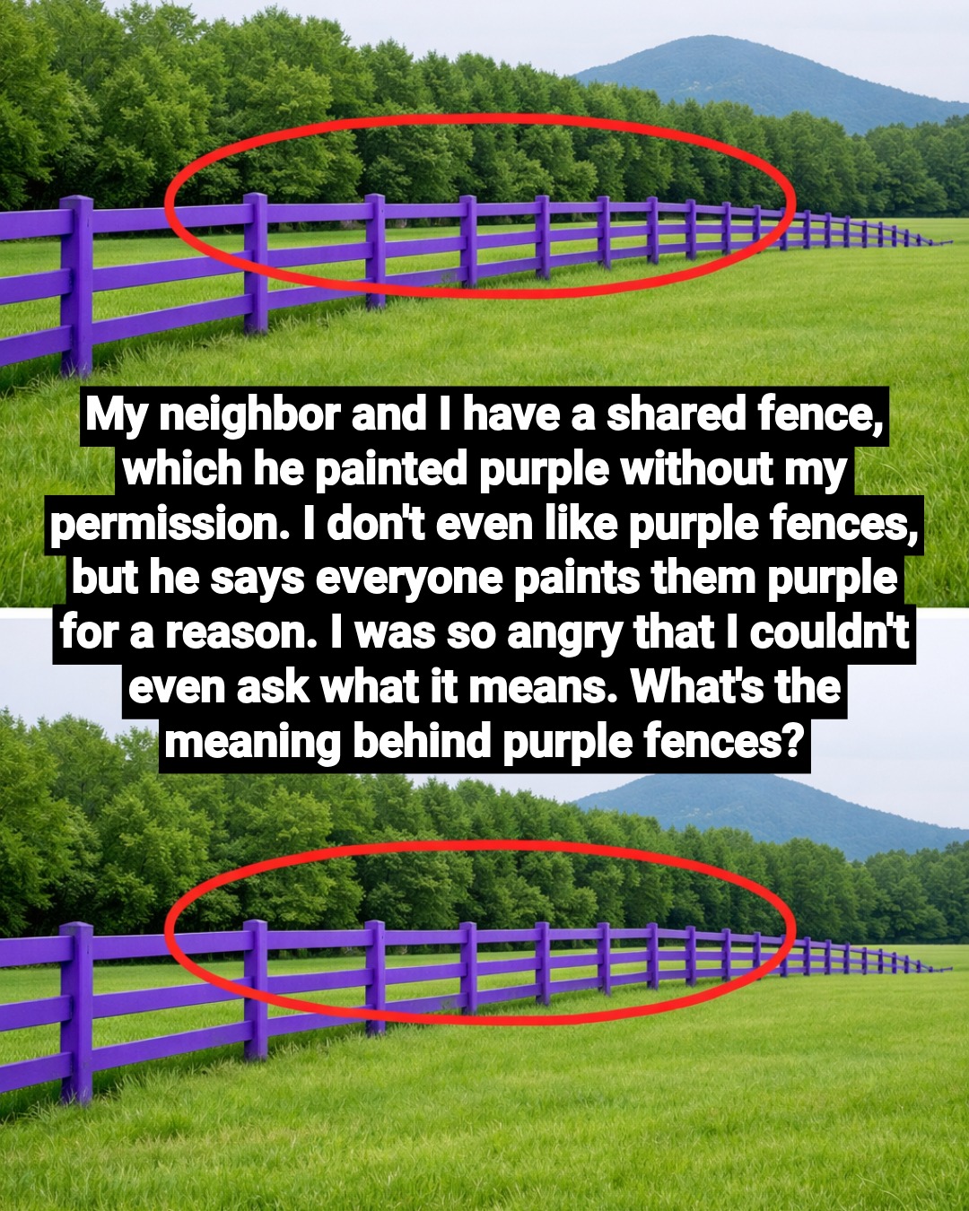 What a Purple Fence Means: Understanding the “No Trespassing” Signal