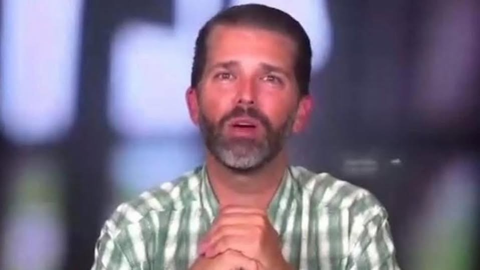 Newly Confirmed Update Brings Donald Trump Jr. Back Into Public Discussion