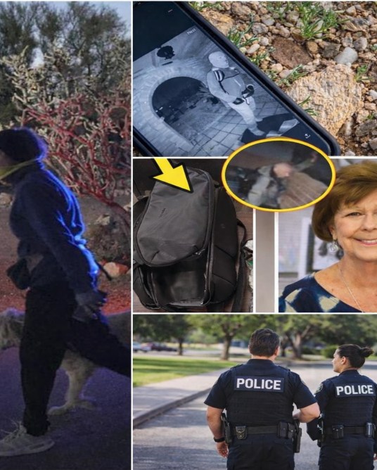 Backpack Found in Southern Arizona as Authorities Continue the Investigation