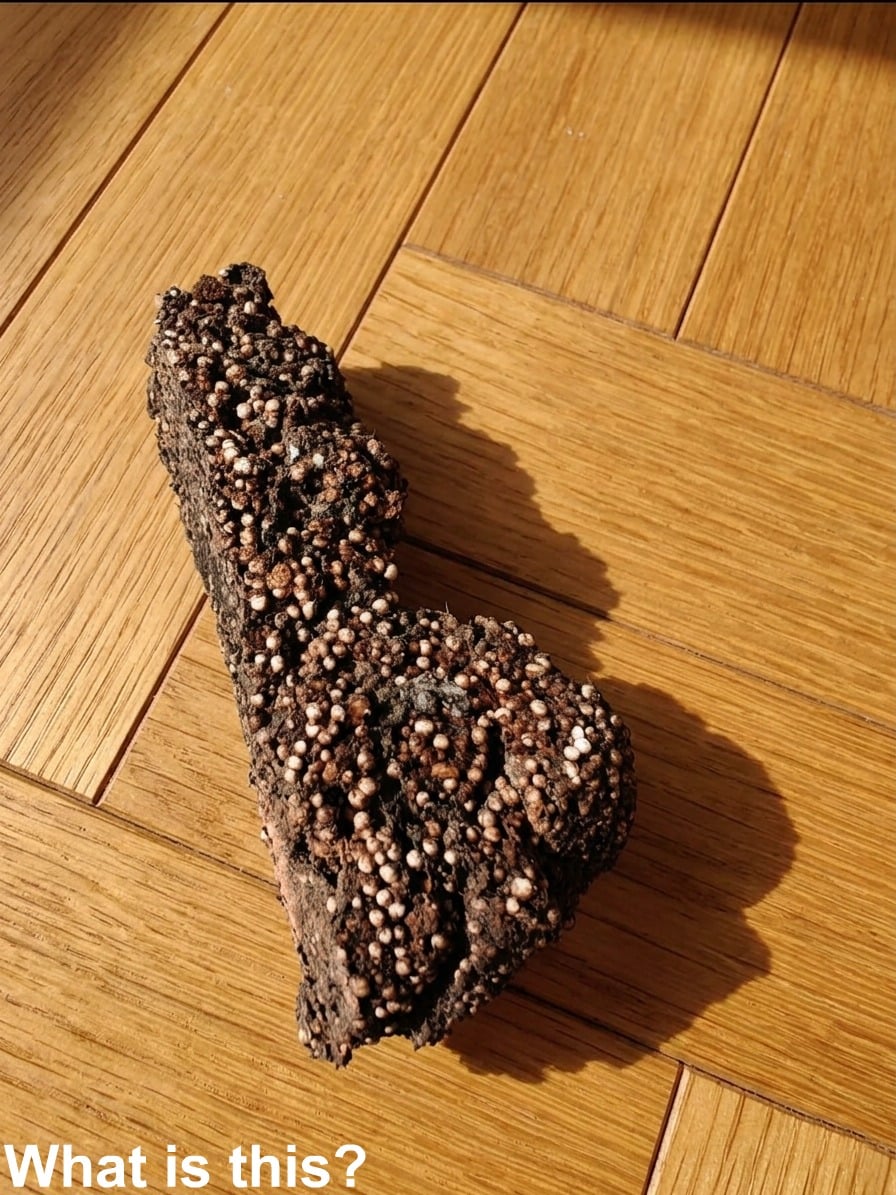 What an Unusual Find Might Be and Why It’s Often Not a Concern