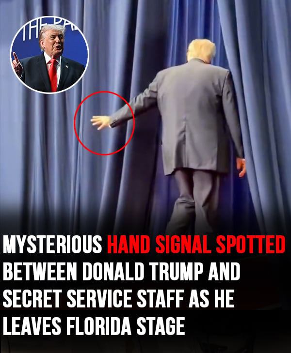 Donald Trump’s Lighthearted Comment During Royal Visit Draws Attention Online