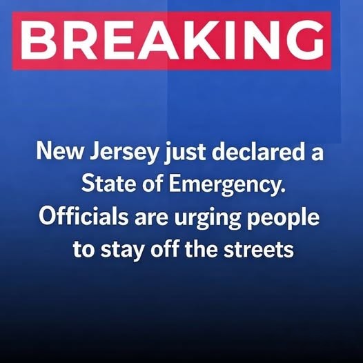 A Powerful Winter Storm Brought Daily Life in New Jersey to a Standstill