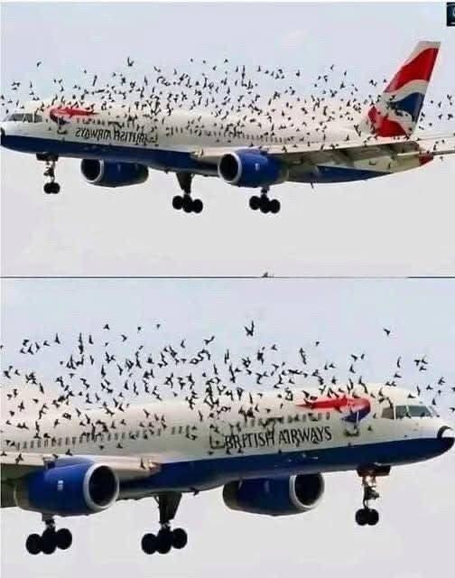 Pilot Reflects Emotionally After Completing a Safe and Successful Flight Journey