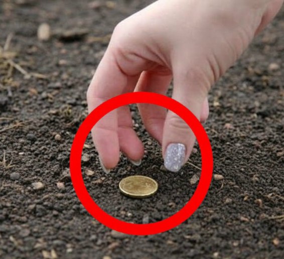 Why Finding a Coin Can Feel Special and the Psychology Behind Everyday Moments