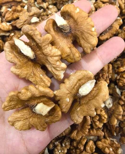 Health Experts Explain the Effects of Eating Walnuts Regularly